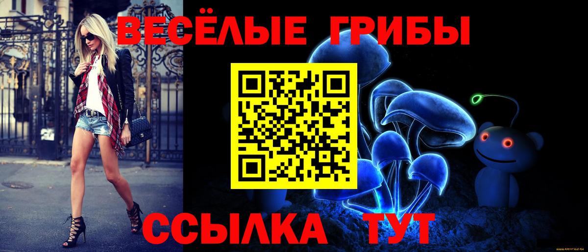 Касимов  Галлюциногенные грибы Magic Shrooms  Вход с VPN 